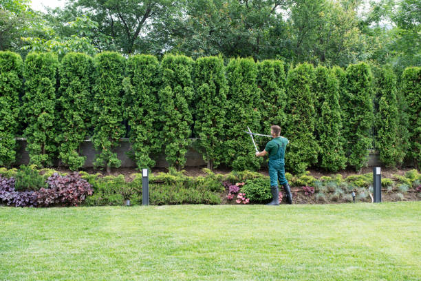 Lawn Irrigation Installation and Maintenance in County Center, VA